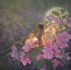 Sakura Moon Toucanvas Fantasy Art Angels Faery Art Fairy Paintings