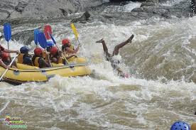 Make a site and teach others to be successful with internet marketing. A Friend Of Mine Is In Australia This Is What Happened When She Went Rafting Meme Guy