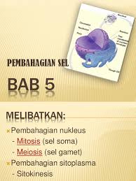 Jom kita mulakan bab 6 biologi tingkatan 4 dengan membincangkan: Bab 5 Biologi Tingkatan 4