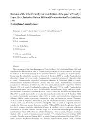 Pdf Revision Of The Tribe Cerambycini Redefinition Of The Genera Trirachys Hope 1843 Aeolesthes Gahan 1890 And Pseudaeolesthes Plavilstshikov 1931 Coleoptera Cerambycidae