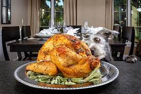 Thanksgiving dinner prices at the hometown buffet can vary greatly, depending on location. Turkey Dinner Staples That Can Be Deadly For Cats And Dogs