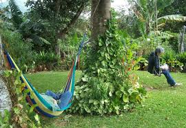 Pin By Madelin Belanger On Nooks Retreats Outdoor Decor Outdoor Outdoor Furniture