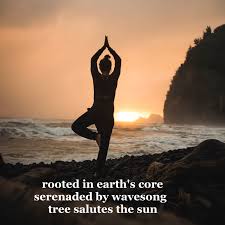 Rooted By Mike Wilson Photo By Steve Halama Unsplash Instagram Photo Photo And Video Haiku Poems