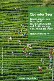 Cha Chai Tee Was Ist Richtig Begriffserklarung Die Verwirrung Auflost