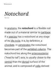 In chordates, four common features appear at some point during development: Notochord Wikipedia Zoology Organisms