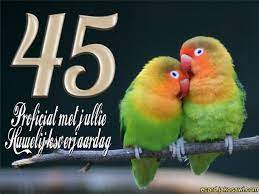Jakosawi E Cards 45 Jaar Lovebirds 1401