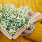 Books and Blooms