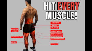 Muscle names are actually quite interesting. Lower Body Leg Workout Exercises And Routines For The Gym