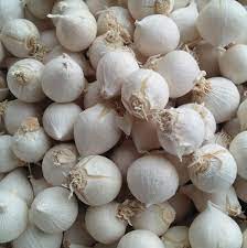 Jun 15, 2021 · bawang merah adalah satu bumbu masak populer di berbagai negara. Bawang Putih Tunggal Lanang Home Facebook