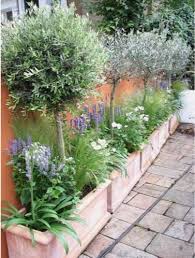 Zulke Borders In De Voortuin Maar Dan Breder Met Mini Appel Tree S En Lavendel En Voor Het Voo Courtyard Gardens Design Small Courtyard Gardens Small Gardens