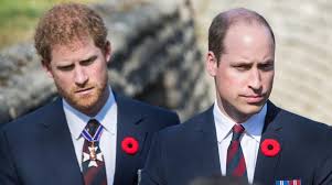 Coronation of King Charles overshadowed by Prince Harry, Prince William  feud