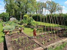 Most vegetables need a full six hours of sunlight a day, so choose an open area without a lot of trees around. How To Start A Veggie Patch For The First Time Craft Invaders