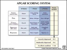 Struggling Ho Score Chart Paed