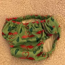 Swim Diaper Honest Company Size Large