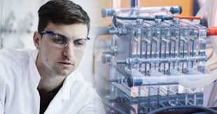 Dr Samuel Rowley-Neale