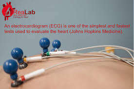 ReaLab Medical & Diagnostic Center