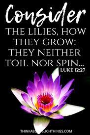 But i tell you, not even solomon in all his glory clothed himself like one of these. 25 Interesting Bible Verses About Flowers Think About Such Things