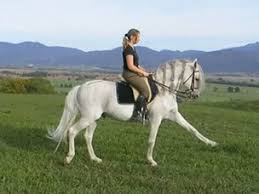 Another word for opposite of meaning of rhymes with sentences with find word forms translate from english translate to english words with friends scrabble crossword / codeword words starting with words ending with words containing exactly words. Spanish Walk Wikipedia