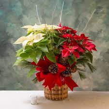 Pin On Flower Arrangements