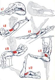 Exercices Abdominaux Obliques Comment Avoir Des Abdos Rapidement Sur Http Abdos De Stars Astusites Co Musculation Musculation Fessier Comment Avoir Des Abdos