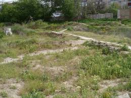 Закажите книгу по лучшей цене 390.00 грн. Drevnee Gorodishe Dikij Sad Nikolaev Tripadvisor