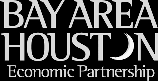 BAHEP Annual Report 2022 by Bay Area Houston Economic Partnership
