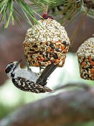 Cupcake Bird Seed Ornaments Songbird Tweets Gardeners Com Bird Seed Ornaments Bird Feeders Homemade Bird Feeders