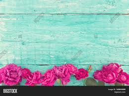 Teal wood background with flowers. Frame Roses On Image Photo Free Trial Bigstock
