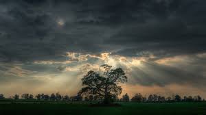 95 windows 10 hd wallpapers and background images. 54 Nature Hd Wallpapers 1080p Widescreen