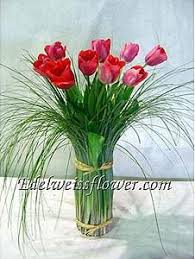 Maybe you would like to learn more about one of these? Mister Timm Mrtimm47 Profile Pinterest