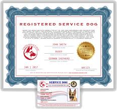 It is important to be sure your dog is adequately trained to qualify as a service animal. How To Register A Service Dog Arxiusarquitectura