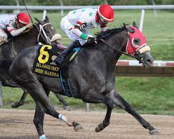 Image result for Handic 423