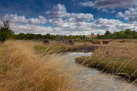En parfait insulaire, vous pourrez oublier la voiture et profiter du calme et de la. Paysage De Charente Maritime Photo Et Image Paysages Paysage Charentais Maritime Nature Images Fotocommunity