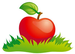 A tree is known by its fruit (, a man by his deeds) proverb a person's or group's character or worth is determined by others based on their actions or the results thereof. The Apple Doesn T Fall Far From The Tree Its Meaning And Origin