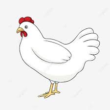  Gambar Berwarna Hen Clip Art Ayam Clipart Induk Ayam Ayam Png Transparan Clipart Dan File Psd Untuk Unduh Gratis In 2021 Cartoon Clip Art Chicken Clip Art Clip Art