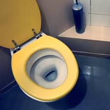 The Truth About Whether You Can Get An Sti From A Toilet Seat Allure