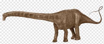 Bir dinozorun fosil kemiğinden proteinlerin başarılı bir şekilde çıkarılması üzerine yayınlanan makale , özellikle de sismosaurus. Plateosaurus Dinosauriergrosse Seismosaurus Apatosaurus Dinosaurier Tierfigur Apatosaurus Brontosaurus Png Pngwing