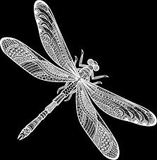 When you call with or submit a question via the web, they respond promptly and give you exactly what. Pest Control Services Medford New Jersey Alliance Pest Management Llc