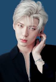 Pin By Stacy Ziaulhaq On Vixx Vixx Leo Vixx Members