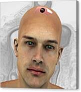 New model of Adam Digital Art by Quim Abella