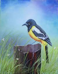 Acrylic paint is one of the safest paints for your birdhouse projects. Buy Custom Bird Painting Wildlife Painting Arizona Native Bird Scott S Oriole Acrylic On Canvas Made To Order From Visual Gems Studio Custommade Com