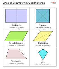 Lines Of Symmetry - Gcse Maths - Steps, Examples & Worksheet