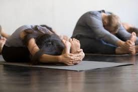 We did not find results for: Vinyasa Yoga Teacher Training Coconuts Directory