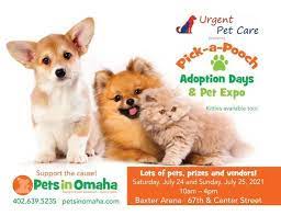 4257 south 144th street, omaha, ne 68132. 2021 Pick A Pooch Adoption Days And Pets Expo Baxter Arena Omaha 24 July 2021