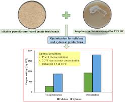 The ash produced from empty fruit bunches is sprayed on crops to prevent insects from potassium is required by plant and this justifies its usage for the production of organic fertilizers. Optimization Of Cellulase And Xylanase Productions By Streptomyces Thermocoprophilus Tc13w Using Low Cost Pretreated Oil Palm Empty Fruit Bunch Springerlink
