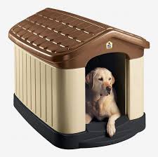 There are plenty of dogs out there is a dog for every person, but you have to know where to. 5 Best Outdoor Doghouses And Kennels 2020 The Strategist