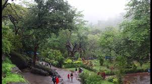 SANJAY GANDHI NATIONAL PARK (Updated ...
