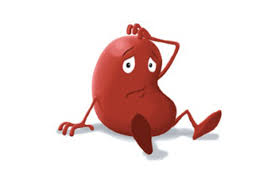Complications In Kidney Transplant Kidney Transplant Fact Dr P N Gupta Blog Paras Hospitals Gurgaon Gene expression profiling provides vital new insight into kidney transplant rejection. complications in kidney transplant
