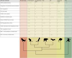 Fruit can be offered once a week as a treat in a small quantity. Waking The Sleeping Dragon Gene Expression Profiling Reveals Adaptive Strategies Of The Hibernating Reptile Pogona Vitticeps Bmc Genomics Full Text