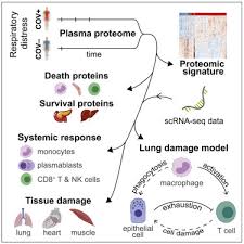 The safety and efficacy of the hybrid technique should be further evaluated. Longitudinal Proteomic Analysis Of Severe Covid 19 Reveals Survival Associated Signatures Tissue Specific Cell Death And Cell Cell Interactions Sciencedirect
